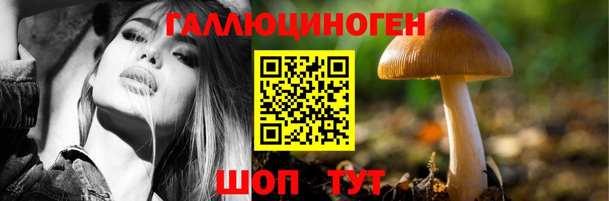 Ирбит  Галлюциногенные грибы мухоморы  Вход с VPN 